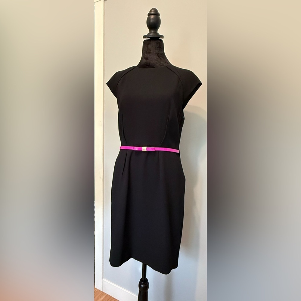 Ted Baker Rozean Pleated Petal Cape Back Dress- Size 4